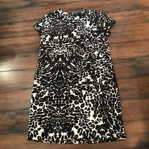 H and m leopard dress sz small euc